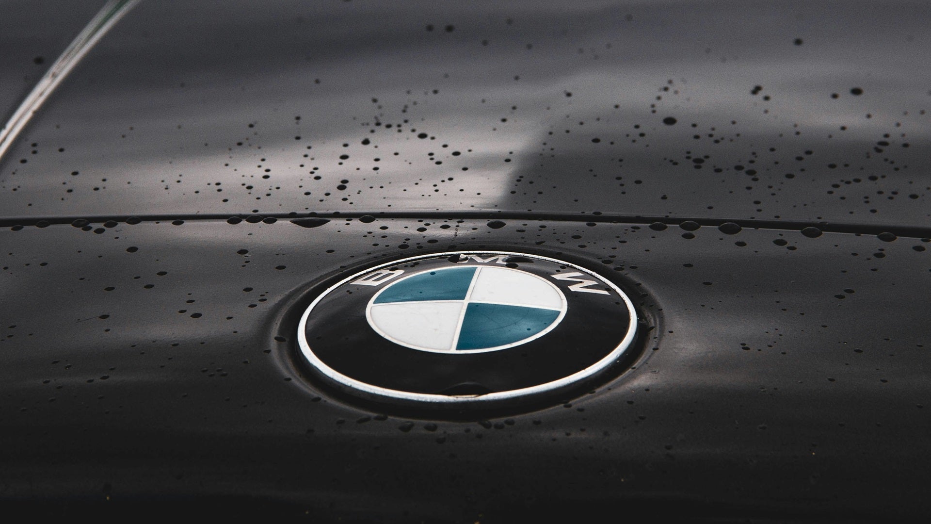 How to Fix Vacuum Pump Oil Leak in BMW and Audi Engines